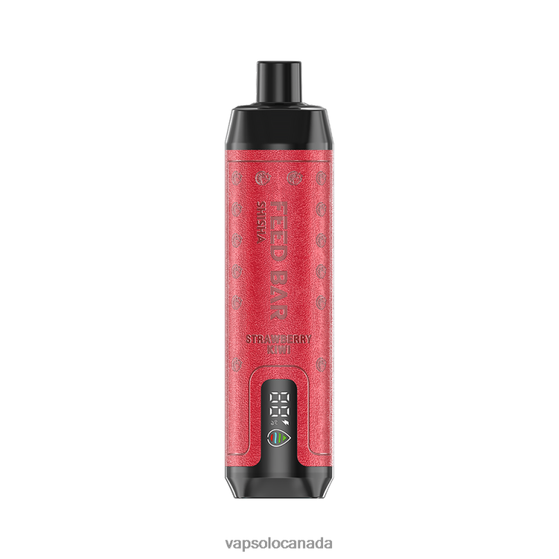 VapSolo SHISHA Disposable Vape | Vapsolo Canada 4L82P10 Strawberry Kiwi