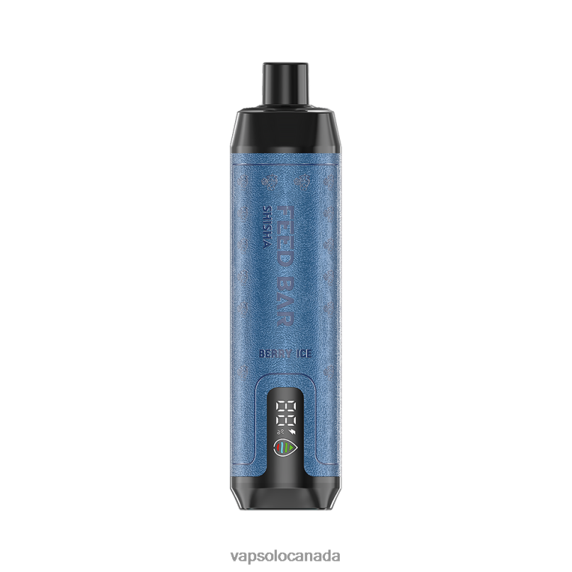 VapSolo SHISHA Disposable Vape | Vapsolo Canada 4L82P1 Berry Ice