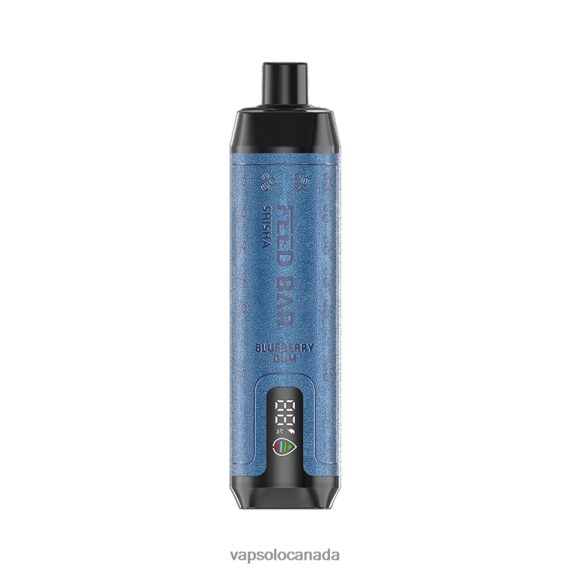 VapSolo SHISHA Disposable Vape | Vapsolo Canada 4L82P4 Blueberry Gum