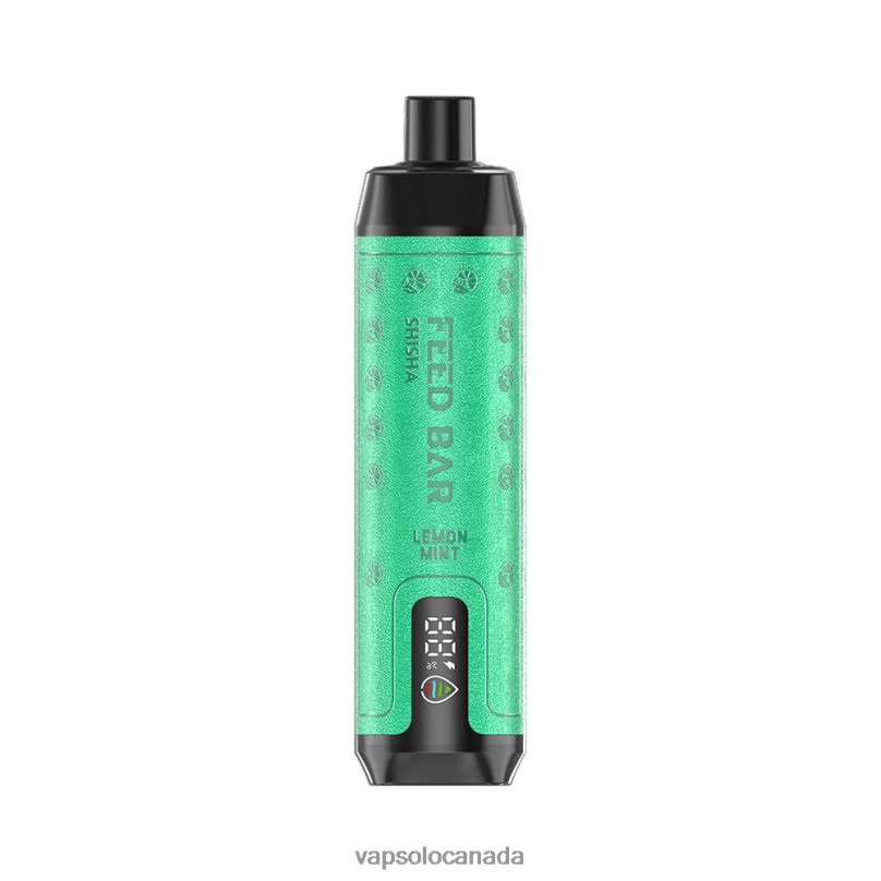 VapSolo SHISHA Disposable Vape | Vapsolo Canada 4L82P7 Lemon Mint