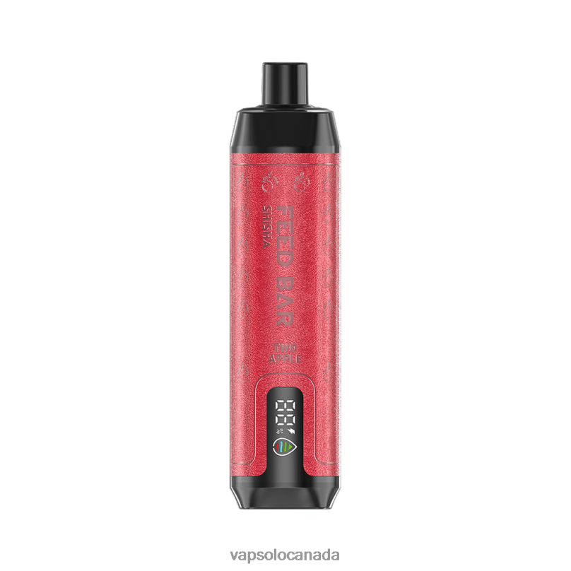 VapSolo SHISHA Disposable Vape | Vapsolo Puffs 4L82P12 Two Apple