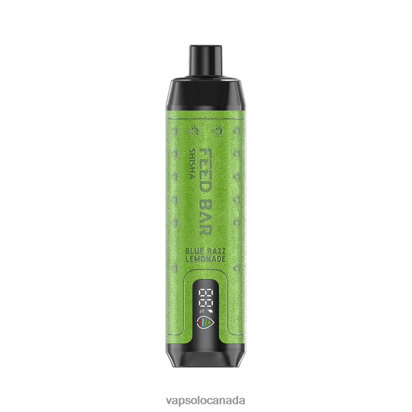 VapSolo SHISHA Disposable Vape | Vapsolo Puffs 4L82P3 Blue Razz Lemonade