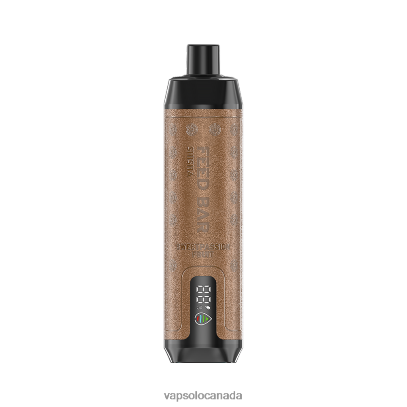VapSolo SHISHA Disposable Vape | Vapsolo Review 4L82P11 Sweetpassion Fruit