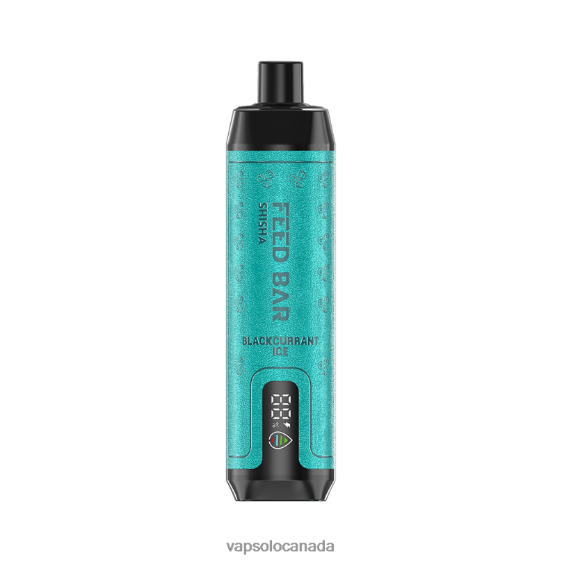 VapSolo SHISHA Disposable Vape | Vapsolo Review 4L82P2 Blackcurrant Ice