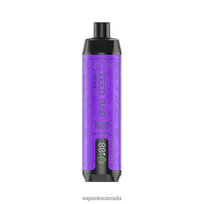 VapSolo SHISHA Disposable Vape | Vapsolo Review 4L82P5 Cherry Fiesta