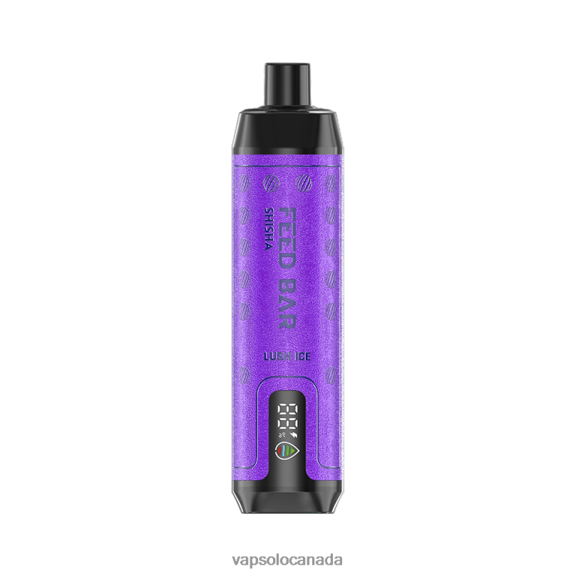 VapSolo SHISHA Disposable Vape | Vapsolo Review 4L82P8 Lush Ice
