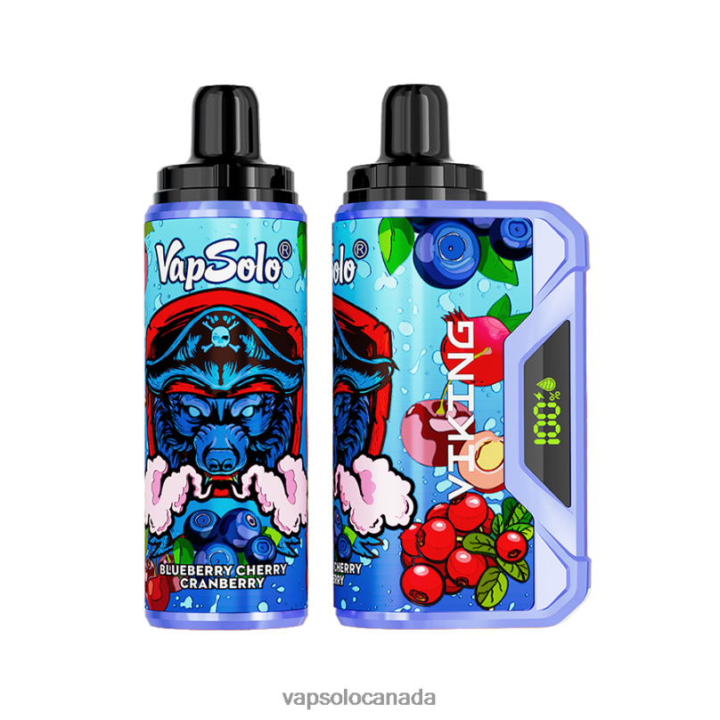 VapSolo VIKING Disposable Vape | Vapsolo Canada 4L82P37 Blueberry Cherry Cranberry