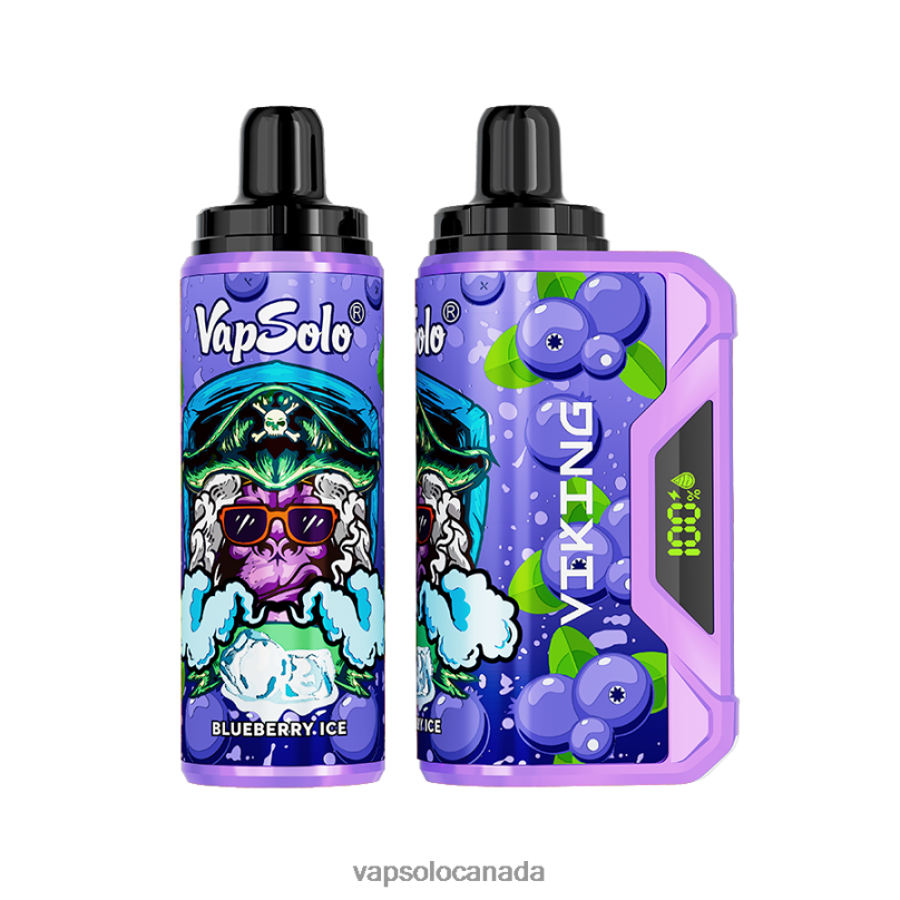 VapSolo VIKING Disposable Vape | Vapsolo Puffs 4L82P36 Blueberry