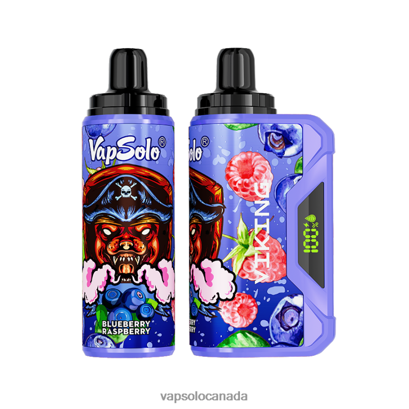 VapSolo VIKING Disposable Vape | Vapsolo Review 4L82P38 Blueberry Raspberry